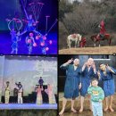 케이파크투어 | 제주도 공연 순위 아트서커스 더마파크 더케이쇼 스카이워터쇼 공연시간 가격 투어패스 올패스 후기