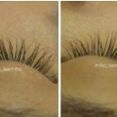 이미호아이래쉬 이미지