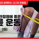 [시니어 홈트] (10)퇴행성관절염에 좋은 무릎 운동 ＜下＞ 이미지