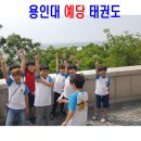 용인대통일태권도 이미지