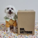 퍼피플랜 | [사료리뷰] 우리 아이 첫 사료 고민 끝! 수의사가 공동 개발한 ‘닥터베토레 네이처플랜’ 급여 후기