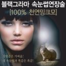 미를붙이다 이미지