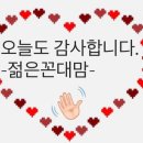 7522 | 제주도 한림항 > 비양도 방문 후기 ,표선 녹산로 유채꽃 벚꽃 거리