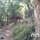 부안군 서림공원 무장애나눔길 뉴스1
