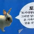 생일이개 이미지