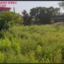 중장리보건진료소 네이버블로그