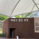 공도도서관 앞 공원 이미지