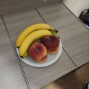 공원민박 | 로마 찍고민박 위치 세탁 도미토리 내돈내산 후기