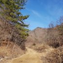 의암순례길(봄내길 2-1코스) 이미지