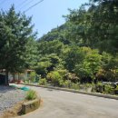 무릉도원면-24 이미지