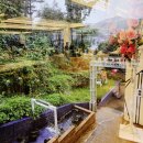 백2리 | [경기광주 곤지암 카페 추천] 브런치·빵맛집 ‘라꾸에스타’ — 피크닉·이벤트까지 완벽했던 생일...