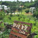 광훈농장 네이버블로그