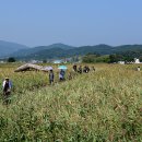 태백산맥 이미지