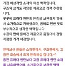 고급 프라다 원단, 가죽 콤비 백팩 이미지