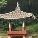 언어는 존재의 집 이미지