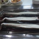 남서울민물장어 이미지