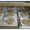 리틀하버드유치원 이미지