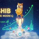 (주)이누 이미지