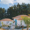 발트하우스 이미지