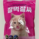 김오기 | [집사템] 고양이 장건강 사료 ‘잘먹잘싸’ 내돈내산 급여 후기
