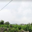 덕수지하수