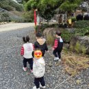 동일숲어린이집 이미지