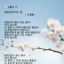 흔들리며 피는 꽃 이미지