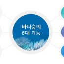 바다;숲 이미지