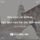 명화축사 티스토리
