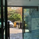 남산에서 노르딕 워킹 입문반/산림 치유 프로그램 후기/서울시공공서비스예약