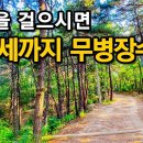 경춘선숲길공원 화랑대역4번출구공릉산백세문 이미지