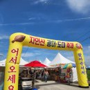 서천 자연산 광어, 도미 축제 현장에 가다 !