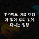 일본 홋카이도 여름 여행 차 없이 완벽 일정 가이드