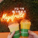메가후르츠검단