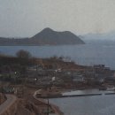 제포니