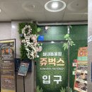 쥬벅스 | 동물 교감 체험 가능한 인천 실내동물원 쥬벅스 후기 |유아와 가볼만한 곳