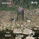 요정이랑 그랜드워커힐서울 호캉스 후기(+그외 러닝과 먹부림)