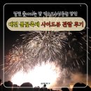 사이드쇼 | 대전 한화불꽃축제 사이드뷰 불꽃쇼 드론쇼 관람 후기