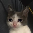 아양3로 이미지