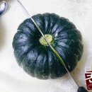 뿌리 농장 이미지