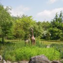 뒷나루길 이미지