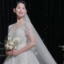 엘프스냅 이미지