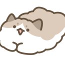 내자살롱 이미지