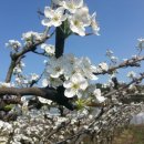 만리농장 이미지