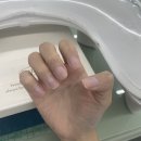 시그니초