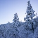 선물이야기 - 중구 대흥로121번길 8 | 선물이야기