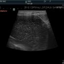 24시 청주이음동물의료센터 이미지