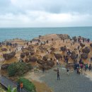 고양이 마을 | 대만 날씨 1월 2월 옷차림 예스폭진지 버스투어 허우통 고양이마을 후기