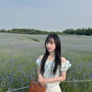 예산어린이집 | [충남/예산] 홋카이도 안 부러운 푸른 물결의 아그로랜드 수레국화 후기 (+입장료·주차)