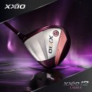 씨유뉴광교에듀점 | 여성 골프채 풀세트 순위 인기 브랜드 top3 젝시오 다이와 테일러메이드